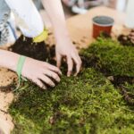 get rid of the moss