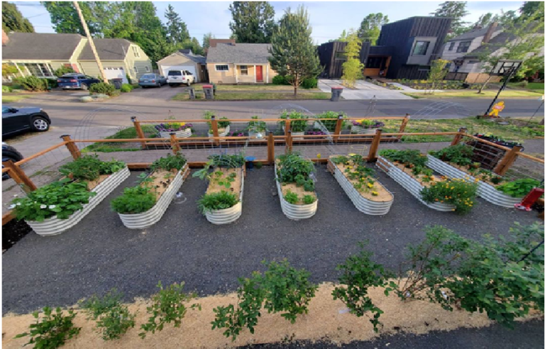 Raised Bed Gardening