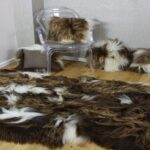 sheepskin rug