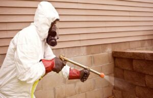 pest control Melbourne